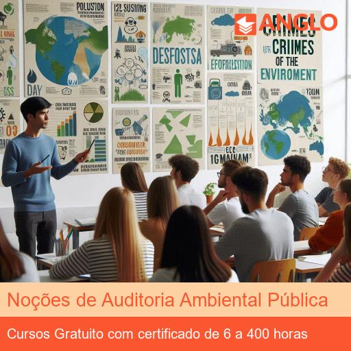 Noções de Auditoria Ambiental Pública